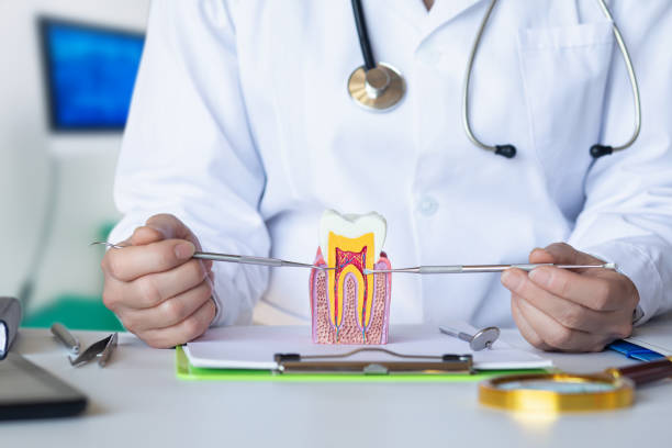 Best Emergency Root Canal Treatment in Mount Morris, IL